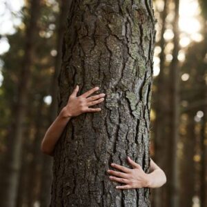 Hug a Tree, They Have Less Issues  than People