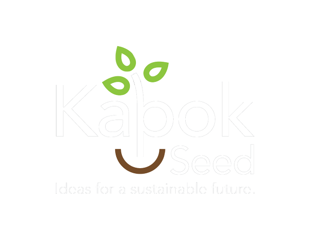 Kapok Seed